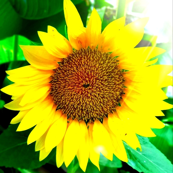 Meet your Posher, Naomi - Picture 1 of 1